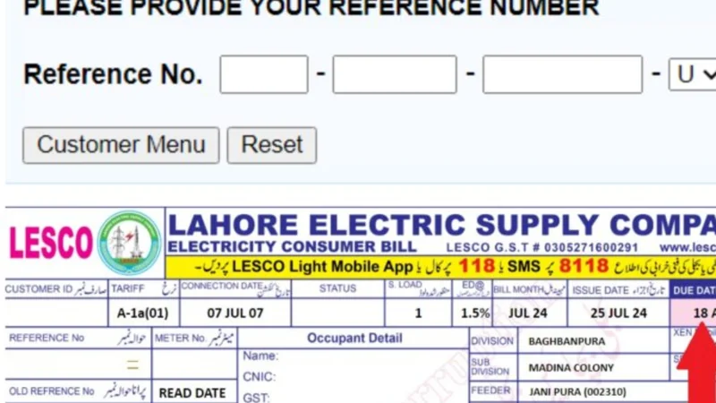 How to download July 2024 electricity bill in Lahore, other cities; details inside