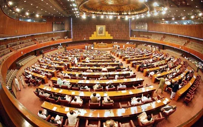 Senate passes controversial Elections (Second Amendment) Bill as well
