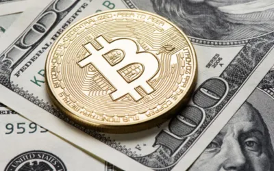 BTC TO USD – Today’s Bitcoin price in Dollar on 21 August, 2024