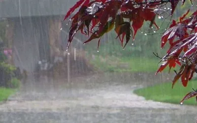 Isolated rains and heavy falls predicted in Peshawar, Khyber Pakhtunkhwa