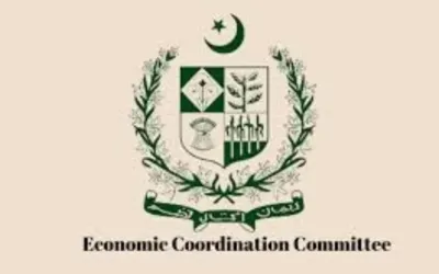 ECC approves Rs52bn power grant and major fiscal transfers