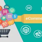 Pakistan’s e-commerce market ascends to global prominence, ranked 46th worldwide
