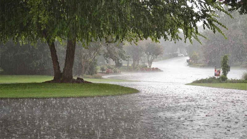 Karachi, Sindh other cities may receive Monsoon rains from Sept 3 to 4 KARACHI: Karachi and other cities of Sindh may receive Monsoon rains from September 3 to 4, National Disaster Management Authority (NDMA) predicted on Sunday.