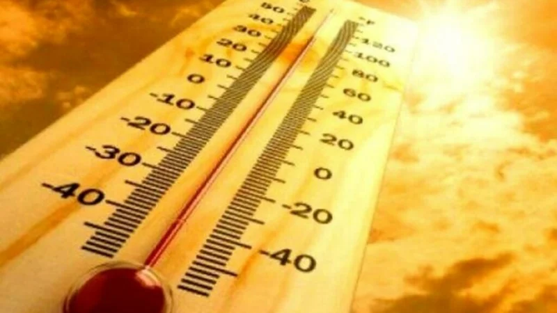 WMO warns Africa of economic challenges due to rising temperatures