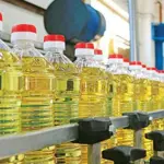 Cooking oil, ghee prices drop in Pakistan - check rates here