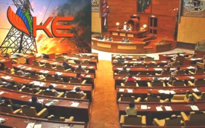 MPAs call for revocation of K-Electric's license in Sindh Assembly