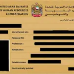How to download UAE e-labour card for free: complete Guide here