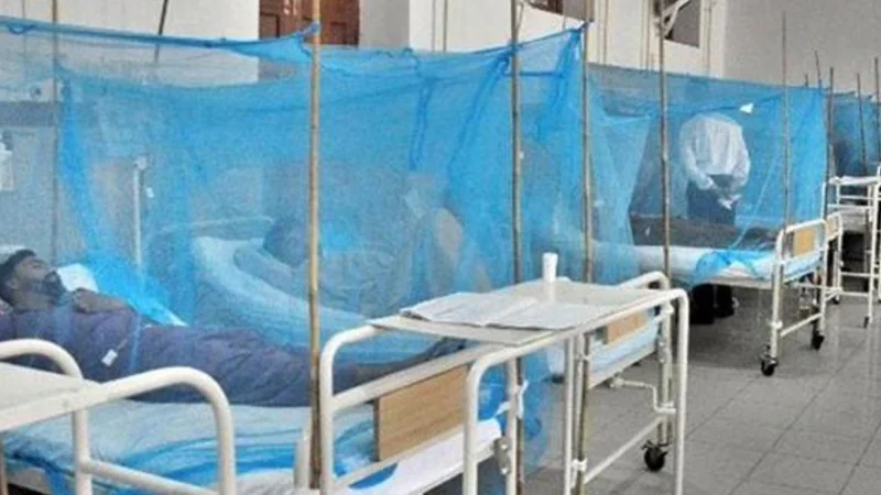Dengue outbreak likely to occur in major cities in October