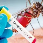 PMD warns of possible dengue outbreak in October
