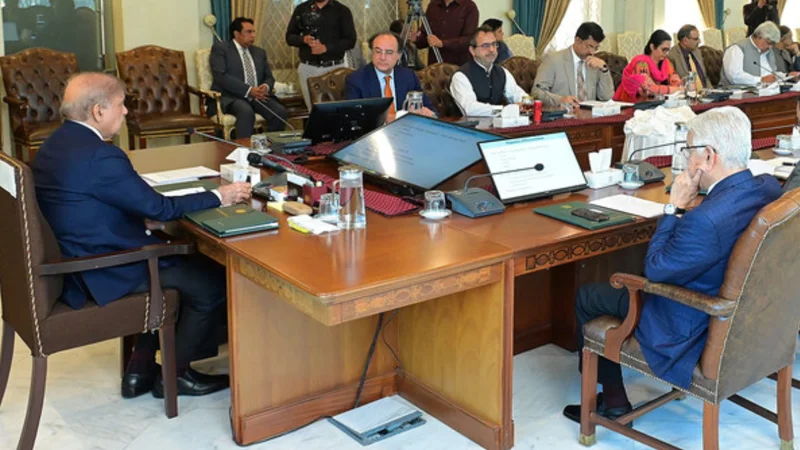 Pakistan may close several institutions if privatization fails