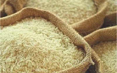 India Opens Door for Non-Basmati White Rice Exports