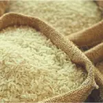 India Opens Door for Non-Basmati White Rice Exports
