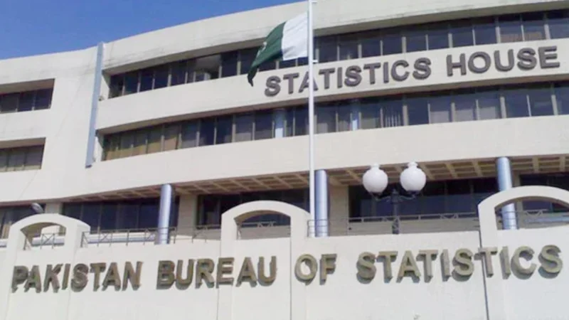 Pakistan's services exports rise by 0.13% in July-August 2024