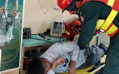 Rawalpindi honey bee swarm targets 80 schoolchildren