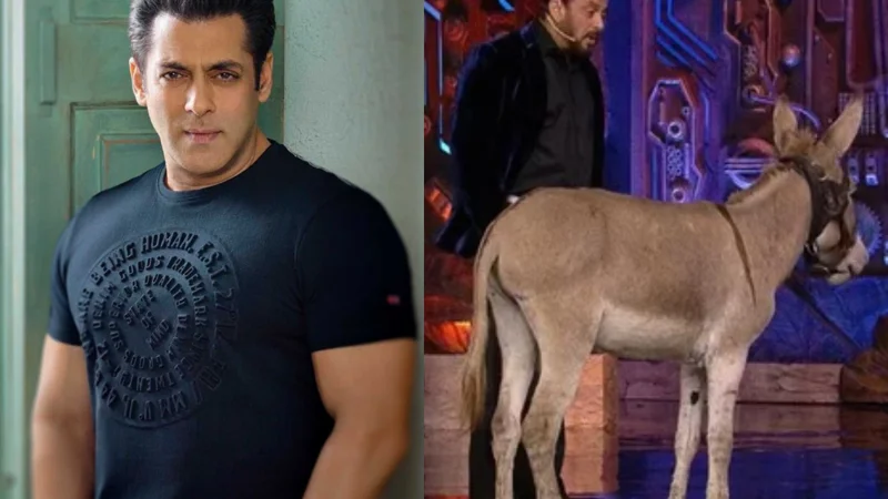 PETA India urges Salman Khan to avoid using animals as props