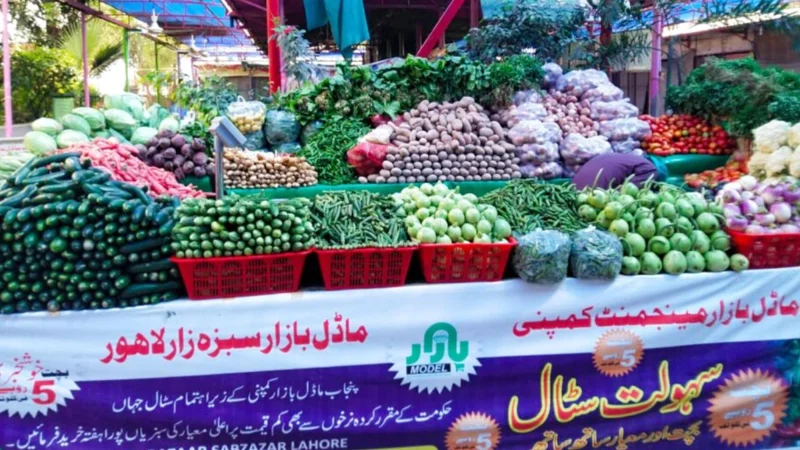 Model Bazaars' Free Home Delivery Initiative Sets New Standard for Public Service
