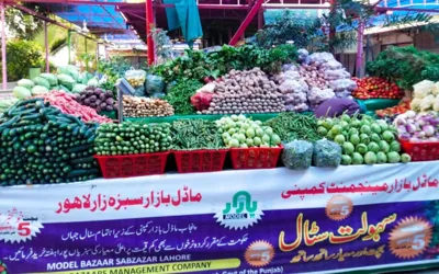 How PMBMC Created Jobs and Boosted Public Welfare Across Punjab