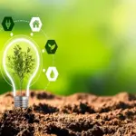 Sustainable Living: Small Changes, Big Impact