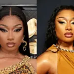 Why Megan Thee Stallion rejected documentary plans?