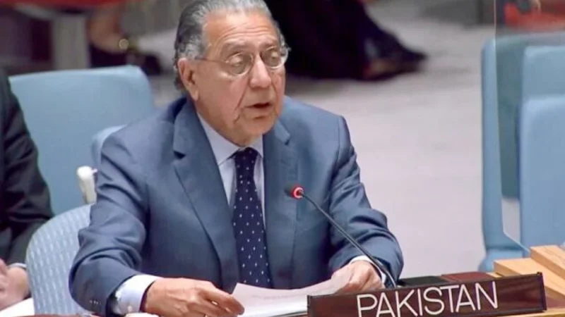 Pakistan calls for ending women’s suffering in IIOJK, Palestine