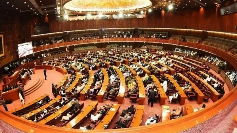 NA passes unanimous resolution expressing solidarity with Kashmiris