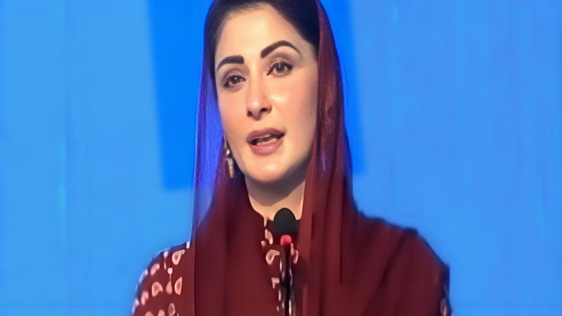 '1,000 super seeders will be provided to farmers across Punjab,' Maryam Nawaz
