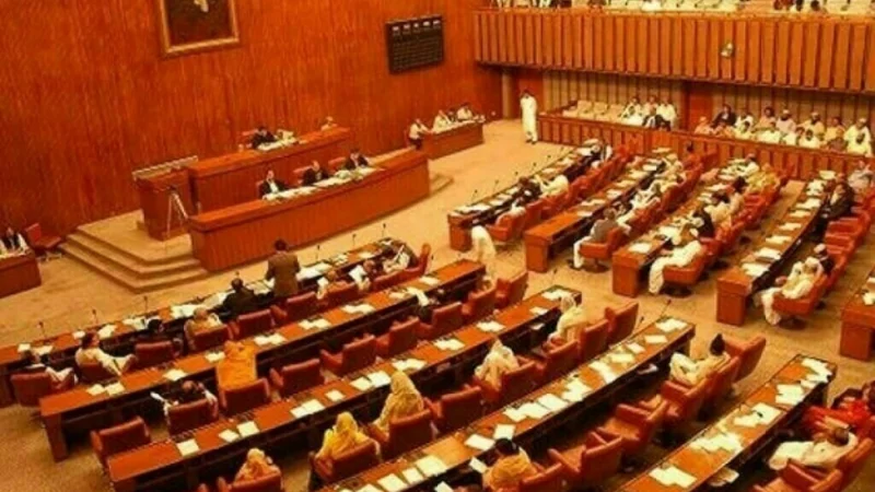 Senate body agrees to increase number of SC judges to 25
