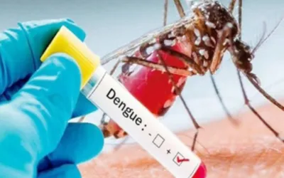 Punjab reports 79 new dengue cases