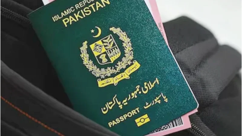 Pakistanis