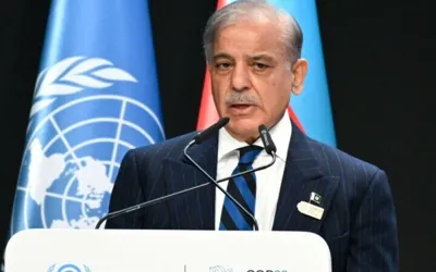 COP-29 Summit: Pakistan faces %30b loss due to floods: PM