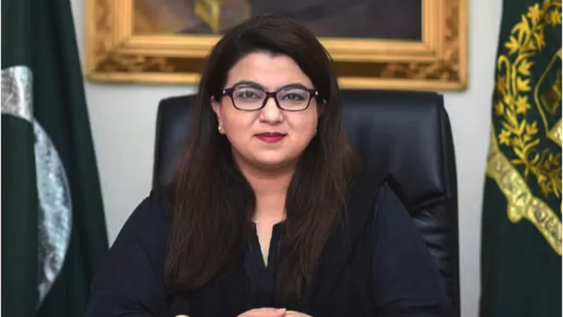 IT Minister