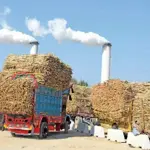 FIA to monitor sugar mills during crushing season