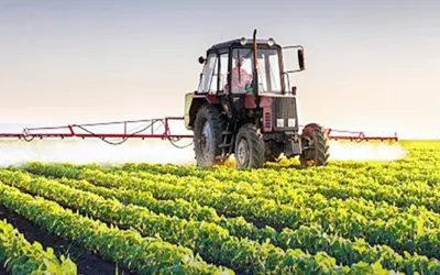 Significant Surge in Pakistan’s Agricultural Exports