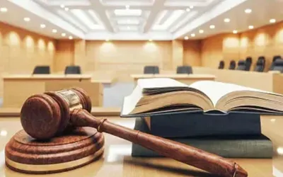 Legal Framework and Contradictions: Counter-Arguments in High-Profile Accountability Case