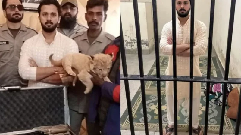 Rajab Butt arrested for Illegal weapon display and possession of Lion Cub
