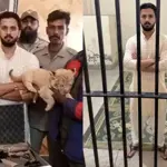 Rajab Butt arrested for Illegal weapon display and possession of Lion Cub
