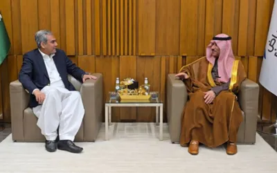 Pakistan, Saudi Arabia pledge to address shared security concerns