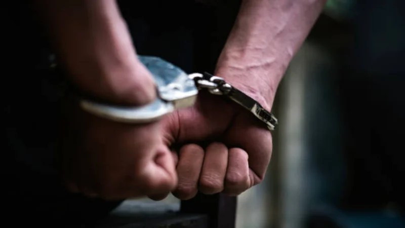 FIA, NCB, Interpol arrest proclaimed offenders from UAE