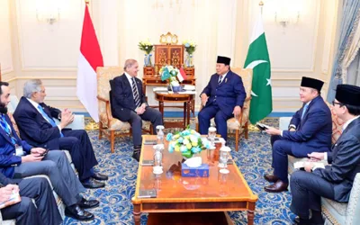 PM Shehbaz meets Indonesian President in Cairo, strengthens bilateral ties