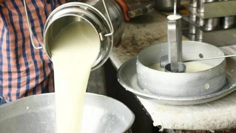 Fines imposed on Karachi dairy associations for milk price hike