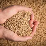 Federal Secretary of Food Security removed from his position