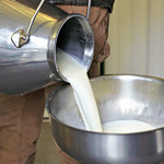 Dairy Farmers Association warns of impending milk price hike in Karachi