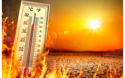 Karachi, Hyderabad Heatwave: Temperature to Rise 3-5°C Higher Than Usual