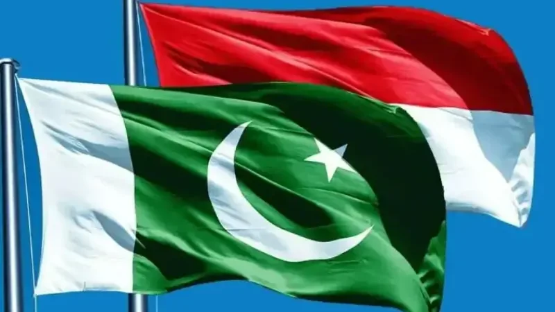 Pakistan, Indonesia agree on medical cooperation