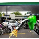 Govt mulls increase in petroleum levy to Rs.100 per liter