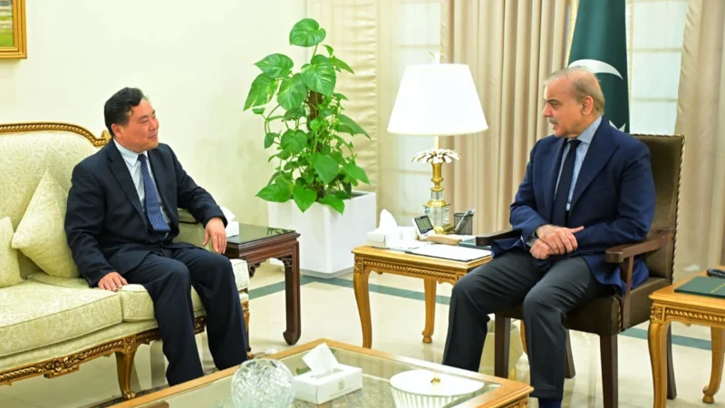 PM Shehbaz invites Chinese firm to invest in mining sector