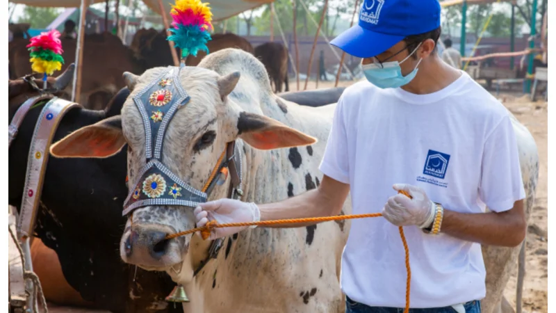 Alkhidmat Qurbani Hissa 2024: Prices, Reservations, & Donation Details!