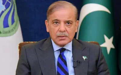 Shehbaz Sharif nominated acting PML-N president