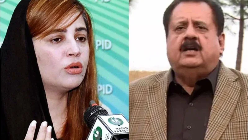 MNA Tariq Bashir Cheema suspended for NA session