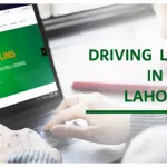 Punjab Driving License Online Verification 2024: ﻿Details Inside!